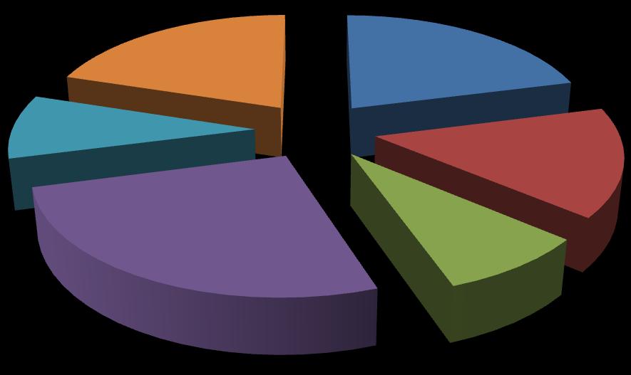 20% Česko, Slovensko 21% USA, Kanada, dálný východ 9% Indie, východ 15% Střední Evropa a západní Evropa 26%