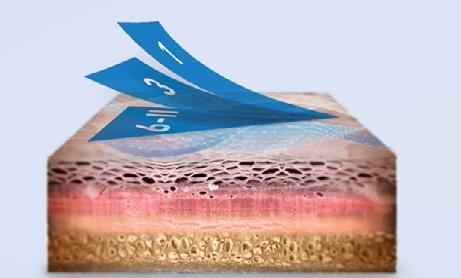 celodenní hydrataci