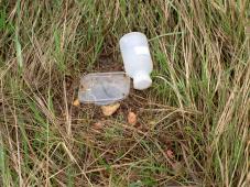 past pitfall trap,