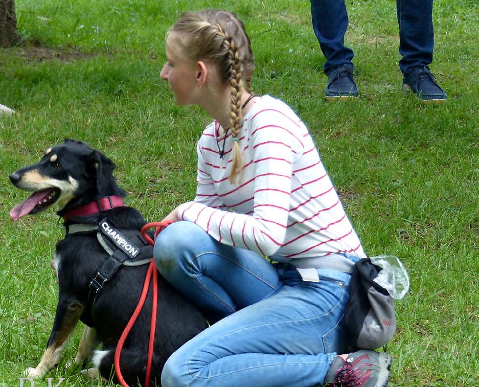 Také letos se tedy povedlo oslovit majitele psů, kteří mají své psy jako rodinné mazlíčky a nechodí s nimi na žádné cvičení pod vedením profesionálů.