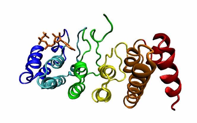 prostředí přítomny vápenaté ionty, dochází k desenzitizaci snižování velikosti odpovědí TRPV1 kanálu (Koplas et al., 1997).