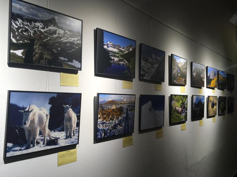 [19] Pohled do Malé galerie u studovny s vystavenými fotografiemi Renaty Collard ze