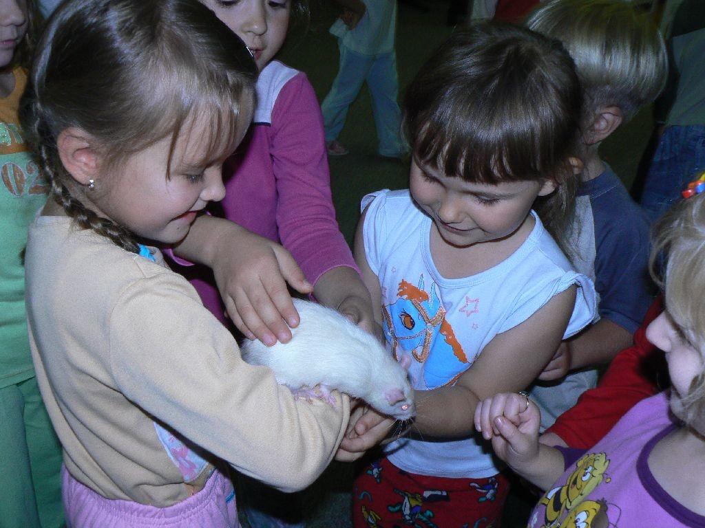 Další moc hezkou akcí byla návštěva mateřské školy Skalka v Ústí nad Labem, která se konala 18. 9.. Čekalo na nás na padesát dětí.