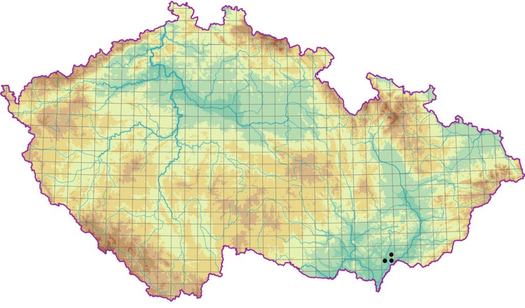 Teplomilné doubravy (Quercetea pubescentis) a obvykle dosahuje pokryvnosti jen do 10 %. Jeho nejčastějším druhem je Hypnum cupressiforme s. l. Stanoviště.