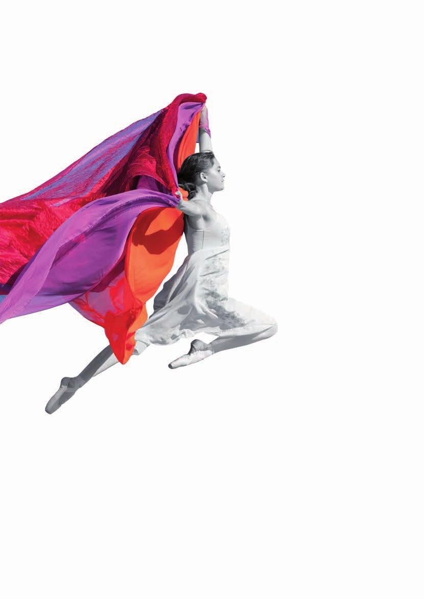 GLOBÁLNÍ ŘEŠENÍ V ŽEHLENÍ GloBal ironing