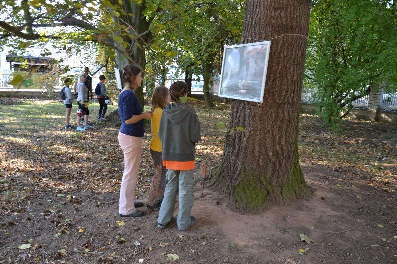 Posečené trávníky se tak staly příležitostným hřištěm pro kroket, pétanque, badminton či méně známý kubb a hosté se také občerstvili v zahradní kavárně.