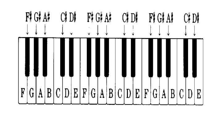 Diskant Konstrukce akordeonu Diskant je melodická část. Tato část se nachází po pravé ruce. Máme dva typy: klávesy jako na klavíru nebo knoflíky jako na takzvané Heligonce.
