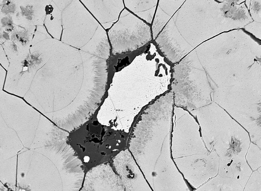 2 Zrno clausthalitu (bílý) alterované mladším chalkopyritem (tmavě šedý) mezi kulovitými agregáty coffinitizovaného uraninitu (odstíny šedé); Velká, šířka záběru 350 μm, BSE foto J. Sejkora.