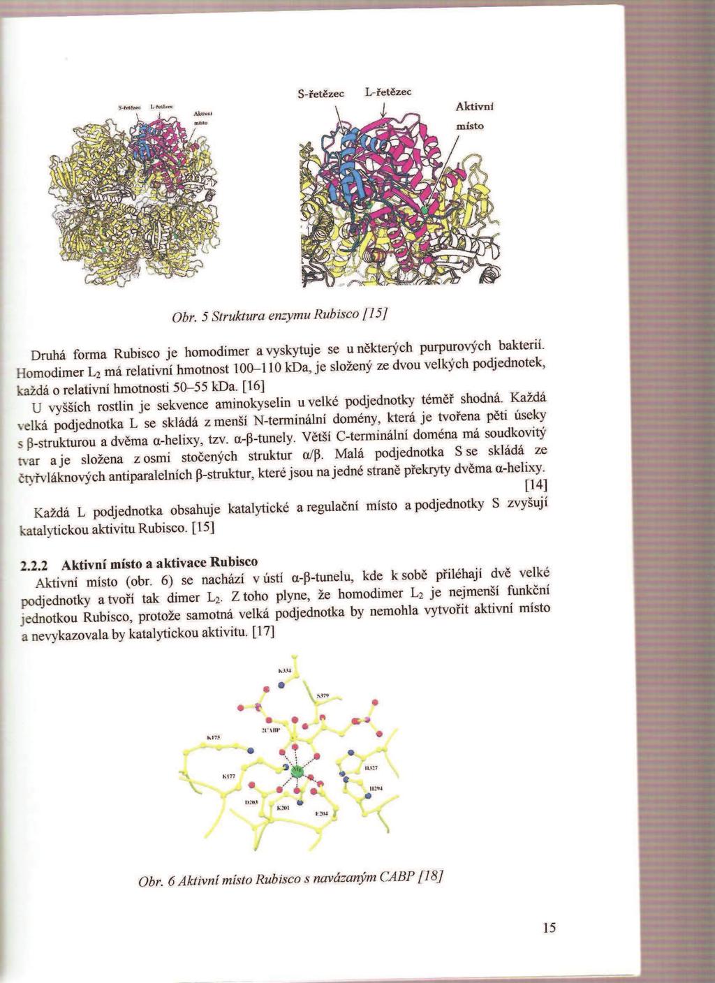 Enzym byl nazván ribulosa-1,5-bisfosfátkarboxylasa. V šedesátých letech Bowes et al. [14], Andrews et al. [15], Lorimer et al.