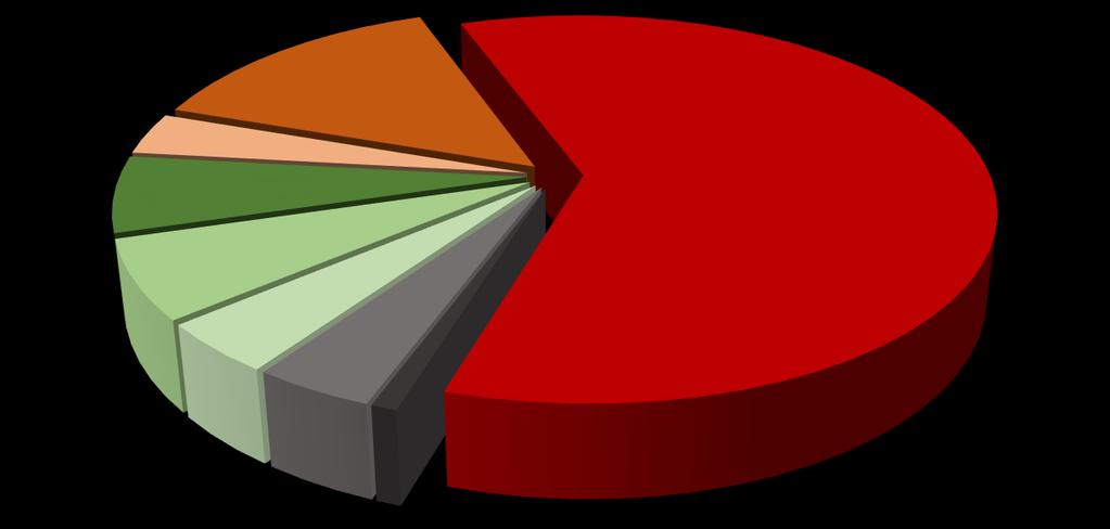 Pořadí Nejtragičtější příčiny nehod zaviněných řidiči motorových vozidel o prázdninách; 2017 usmrceno osob 1. vjetí do protisměru 15 2. řidič se plně nevěnoval řízení vozidla 14 3.