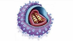 HIV/VHB infekční krví přenosná