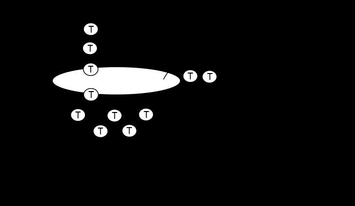 Obr. 1.4: Schematické znázornění funkce omezování pomocí "tokenového kbelíku"[7] identifikovány.