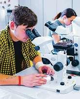 Tým VŠTE BLACK DOGS BUDWEIS má v názvu jednu vysokou školu, ale v týmu mohou nastoupit istudenti jiných univerzit, dokonce ižáci z maturitních ročníků.