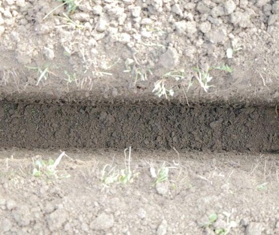 hloubky 120 cm o šířce do 20 cm. Stroj je určen pro hloubení drážek v zahradách, parcích, hřištích apod.