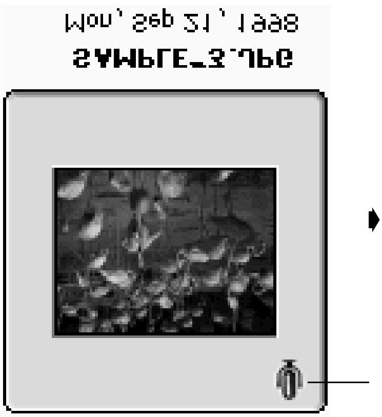 Použití náhledového okna Přiřazení zvukového komentáře (pouze u počítačů Macintosh) Funkce přiřadí vybraným snímkům, uloženým na pevném disku