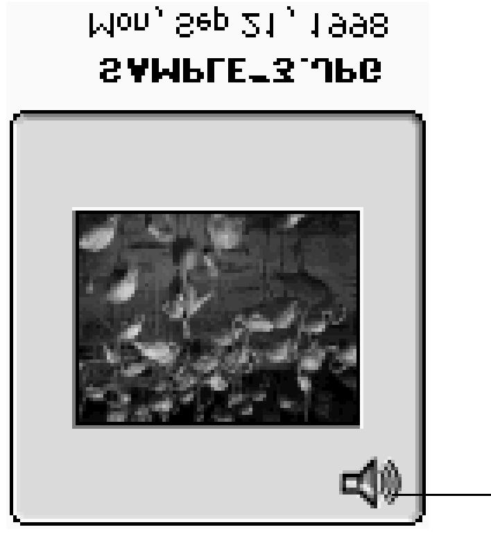 Ikona reproduktoru 1. Zobrazte v Náhledovém okně snímky uložené na pevném disku (stránka 16). 2.