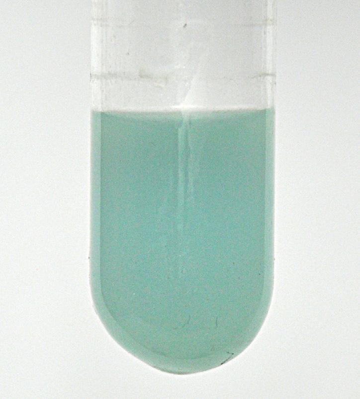Polymethylmethakrylát Důkaz polymethylmethakrylátu lze provést reakcí jeho monomeru s dusitanem sodným, kdy dojde k modrému zabarvení roztoku.
