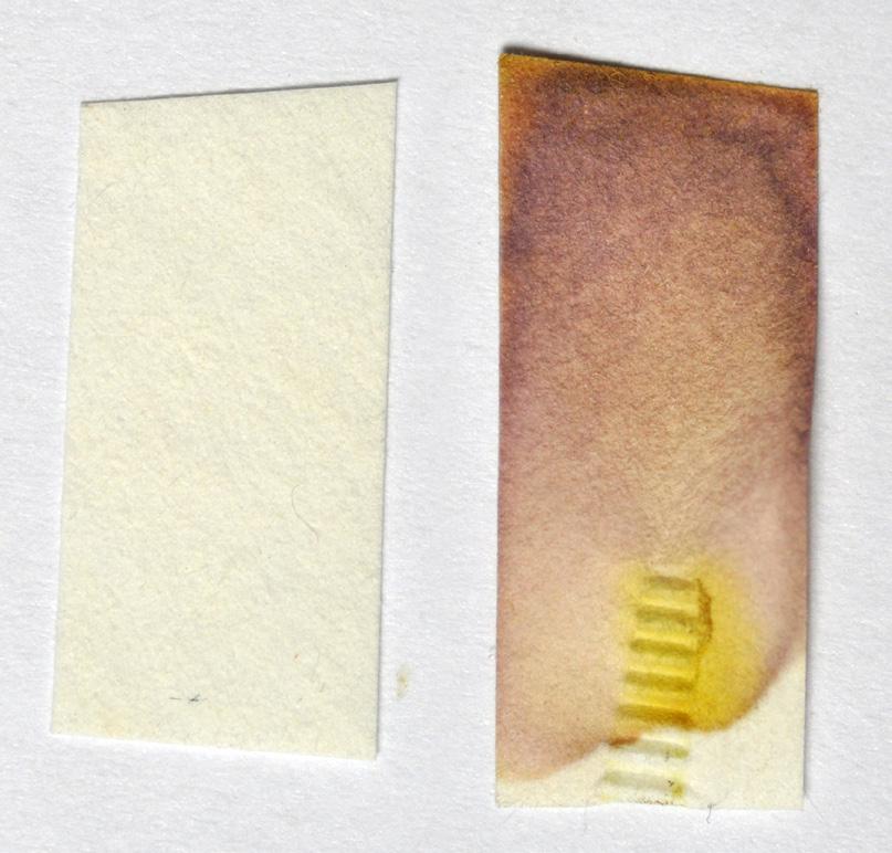 Polyamid Polyamid lze dokázat reakcí zplodin pyrolýzy s p-nn-dimethylaminobenzaldehydem v kyselém prostředí (činidlo na důkaz přítomnosti aminů), kdy dojde k červenofialovému zabarvení roztoku.