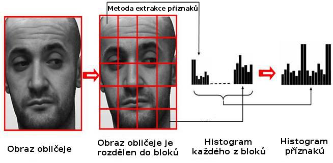 Při určení nových společných rozměrů je třeba mít na paměti, že velikost obrazu (a tím i počet obrazových příznaků) bude velmi ovliňovat rychlost rozpoznávání.