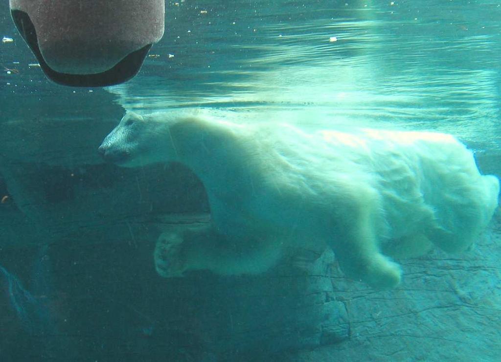 Řízená hypotermie cílené snížení tělesné teploty