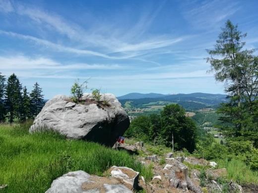 ČÍŽKOVY / KOZÍ KAMENY Nejbližší okolí Trutnova nabízí atraktivní terény orienťáku zaslíbené.