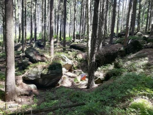 Nejvyšší místo Kozích kamenů je v jejich severní části, zvané Severní čížkovy kameny, v 632 metrech nad mořem.