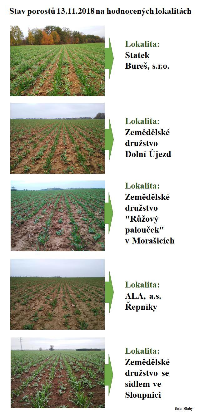 Optimalizace koloběhu živin Pěstování pšenice ozimé s pomocnou plodinou Lokalita Vysokomýtsko Průměrná produkce suché nadzemní biomasy pšenice ozimé (hrách rolní ozimý, kg/ha), průměrná nadzemní,