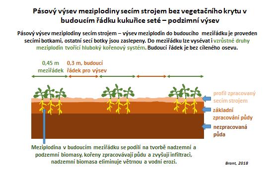 Biologické zpracování půdy Pásové výsevy meziplodin pro širokořádkové plodiny Lokalita Habry Cíle technologie - Eliminace erozních rizik - Zamezení evaporace po umrtvení či