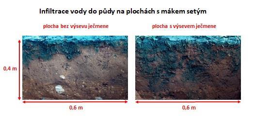 Protierozní ochrana Mák s pomocnou plodinou Pokryvnost povrhu
