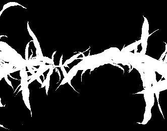hybrid rostlin/ha  (%)