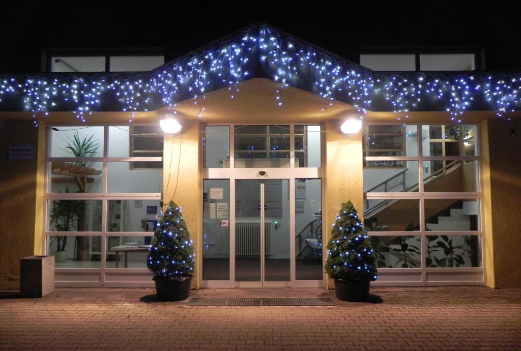 Vaše terapeutky Aktivity na měsíci Leden Canisterapie