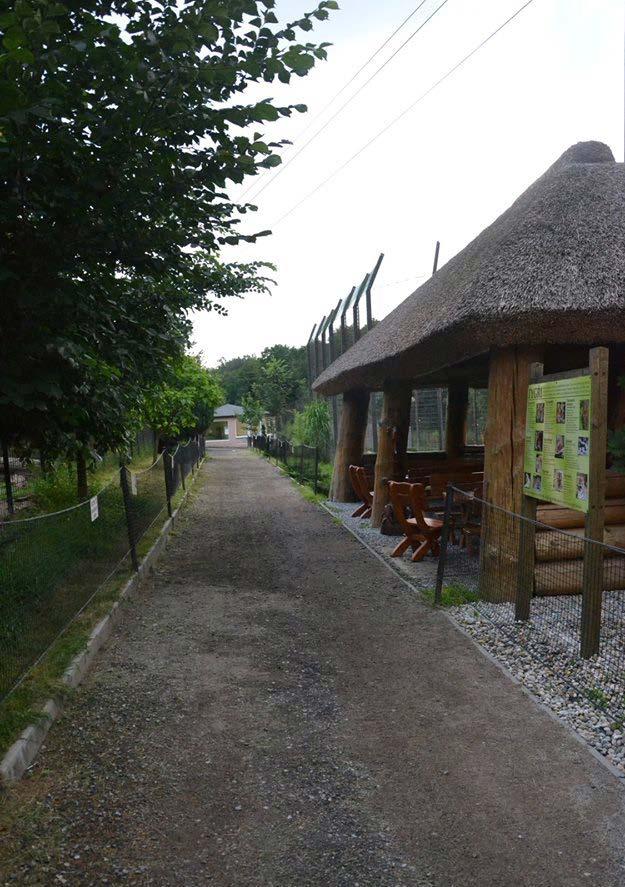 Dvorec 17, 373 12 Borovany www.zoodvorec.