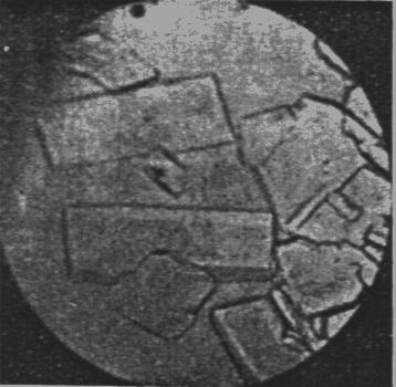 Obr. 1. Krystaly labilní modifikace nitroglycerinu (podle Hibberta) Obr. 2.