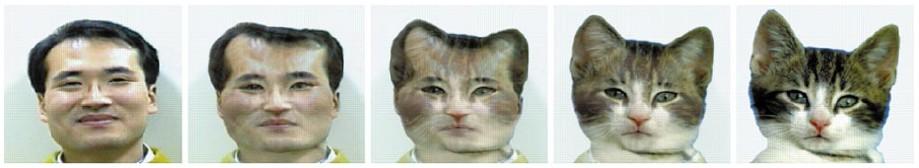 Morphing: o co jde Plynulá změna jednoho obrazu