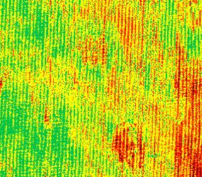 Toto je Parrot Sequoia+ Zachyťte neviditelné Snímek: Parrot Sequoia + NDVI