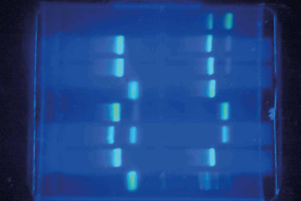 BioTech a.