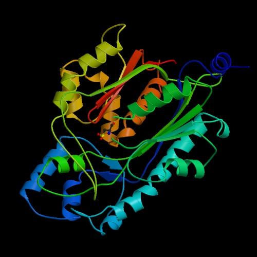 GENOTYP >chs1 atgacagaat acaggatgac tatgacgtga cggcttatat gatgacc.