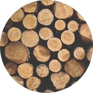 Biomasa Biomasa je souhrn látek tvořících těla organismů Rostliny, živočichové, bakterie, sinice,houby U rostlin