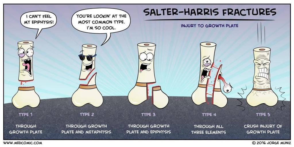 Salter-Harris