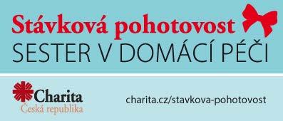 tedy lékařem stanovené výkony sestrám domácí zdravotní péče je nesmyslné a nespravedlivé. Zmíněná cena bodu, jímž se přepočítávají odvedené výkony, je dalším z podstatných témat.