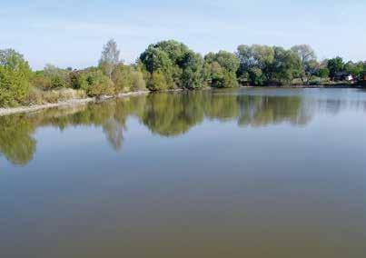 Kunratický potok (celková délka toku cca 13,3 km; z toho před ústím do rybníka Šeberák cca 2,5 km) pramení v oblasti Šeberova [2]; na svém horním toku zásobuje Hrnčířský rybník (voda z něj v roce 218