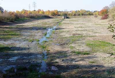 Obr. 7. Nový rybník Fig. 7. Nový pond Obr.