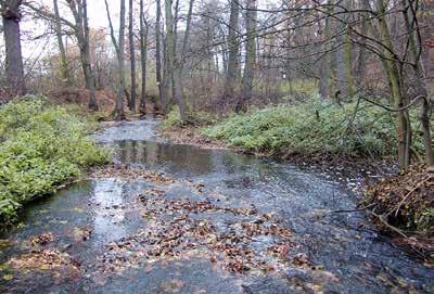 9. Kovářský pond Obr. 12.