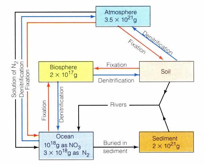 Biogeochemický