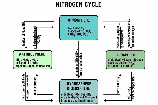 Biogeochemický