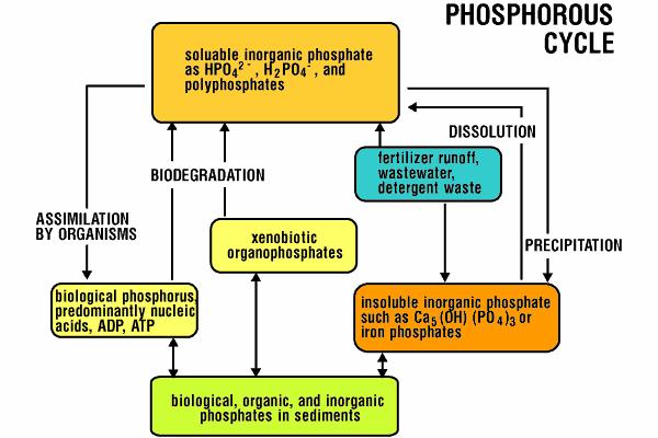 Biogeochemický