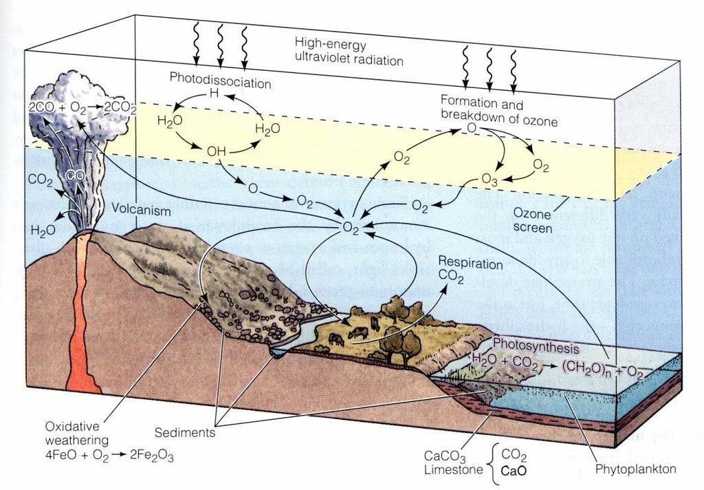 Biogeochemický