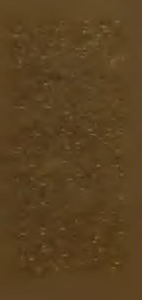 Ředkvičky v tom to o b d o b í sejeme v odrůdách Rampouch (dlouhá bílá ) nebo M áslová obří (červená kulatá), které ta k snadno nevybíhají v letním období.