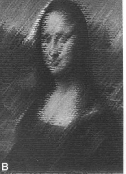 přechodných