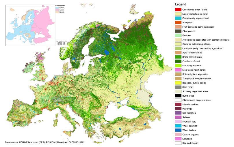 Biogeografické a vegetační členění Evropy Současný
